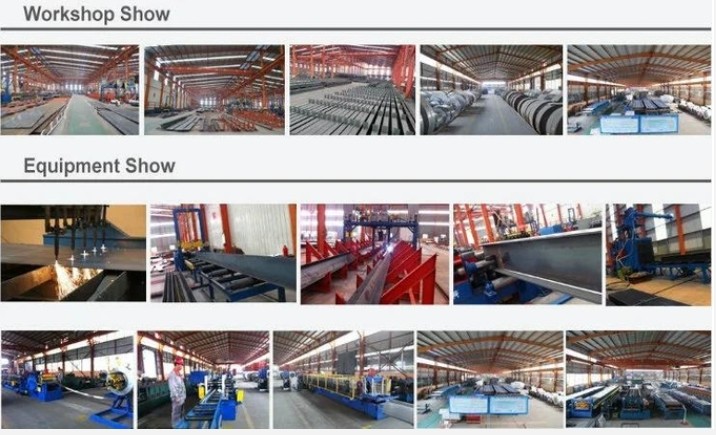 Qingdao Xinguangzheng Husbandry Co.,  Ltd कारखाना उत्पादन लाइन