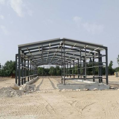 ओडीएम प्रीफैब मेटल वेयरहाउस इंटेलिजेंट स्टील फ्रेम चिकन हाउस