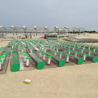 पूर्व इंजीनियर पशुधन फार्म हाउस चिकन स्टील संरचना गोदाम