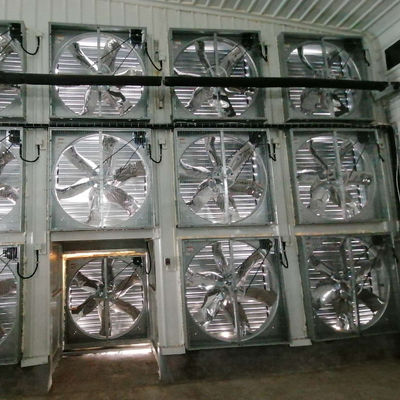 OEM स्टैंडर्ड पोल्ट्री हाउस स्लाइडिंग विंडो के साथ स्टील संरचना