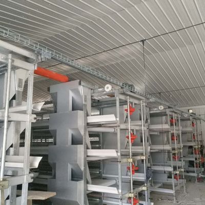 बड़े स्पैन ब्रोइलर चिकन केज सिस्टम 230M*56M मूल देश के लिए