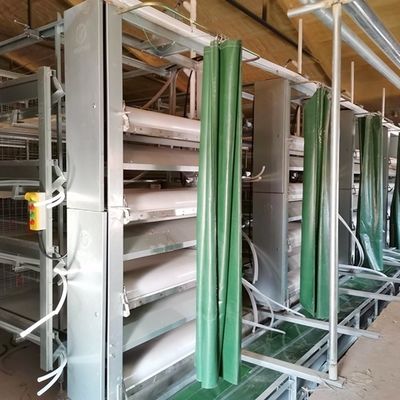 कम लचीलापन ब्रोइलर चिकन पिंजरे प्रणाली व्यापक रूप से चिकना और आधुनिक डिजाइन