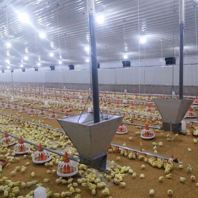 लंबे समय तक चलने वाला मांस चिकन फ्लोर सिस्टम संक्षारण प्रतिरोधी / प्लास्टिक सामग्री के साथ