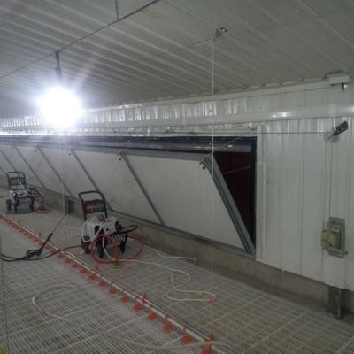 उच्च प्रदर्शन के लिए एंटी स्लिप ब्रोइलर फ्लोर सिस्टम मानक
