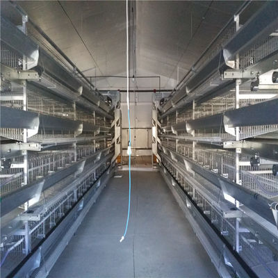 स्वचालित भोजन और पेय प्रणालियों के लिए जस्ती स्टील ए प्रकार के अंडे उत्पादन चिकन संलग्नक