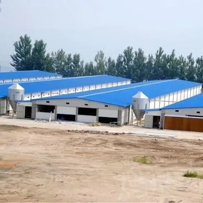 आसान इकट्ठा डिजाइन पोर्टेबल कम लागत पोल्ट्री हाउस स्टील संरचना