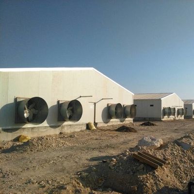 आइसोलेशन पैनलों के साथ अनुकूलित गिबल छत प्रीफैब पोल्ट्री हाउस