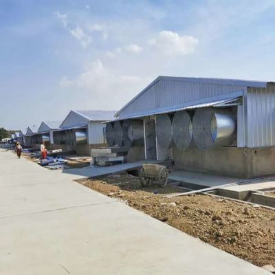 टिकाऊ मौसम प्रतिरोधी पोल्ट्री स्टील बिल्डिंग मौसम प्रतिरोधी