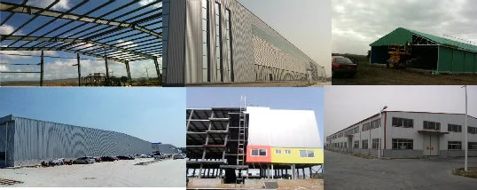एसजीएस पशुपालन फार्म हाउस पूर्वनिर्मित स्वचालित स्टील फ्रेम चिकन कॉप 5